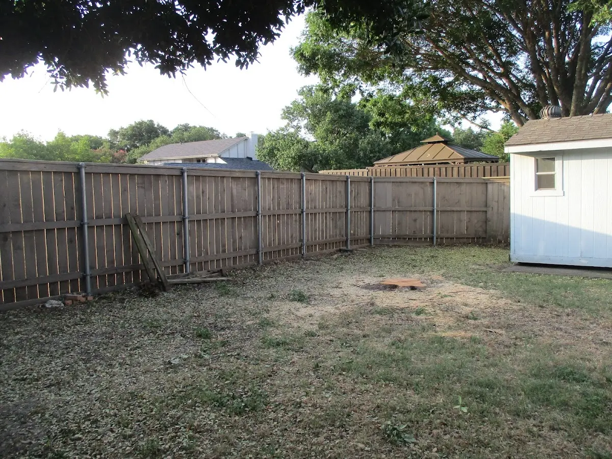 Cleared yard after professional tree removal in Davenport Center